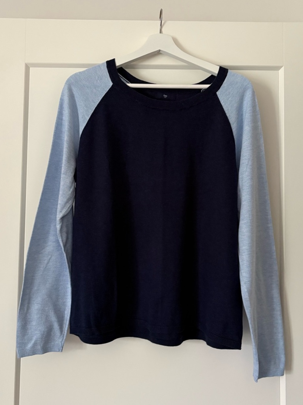 GAP Navy Sweater with Light Blue Sleeves